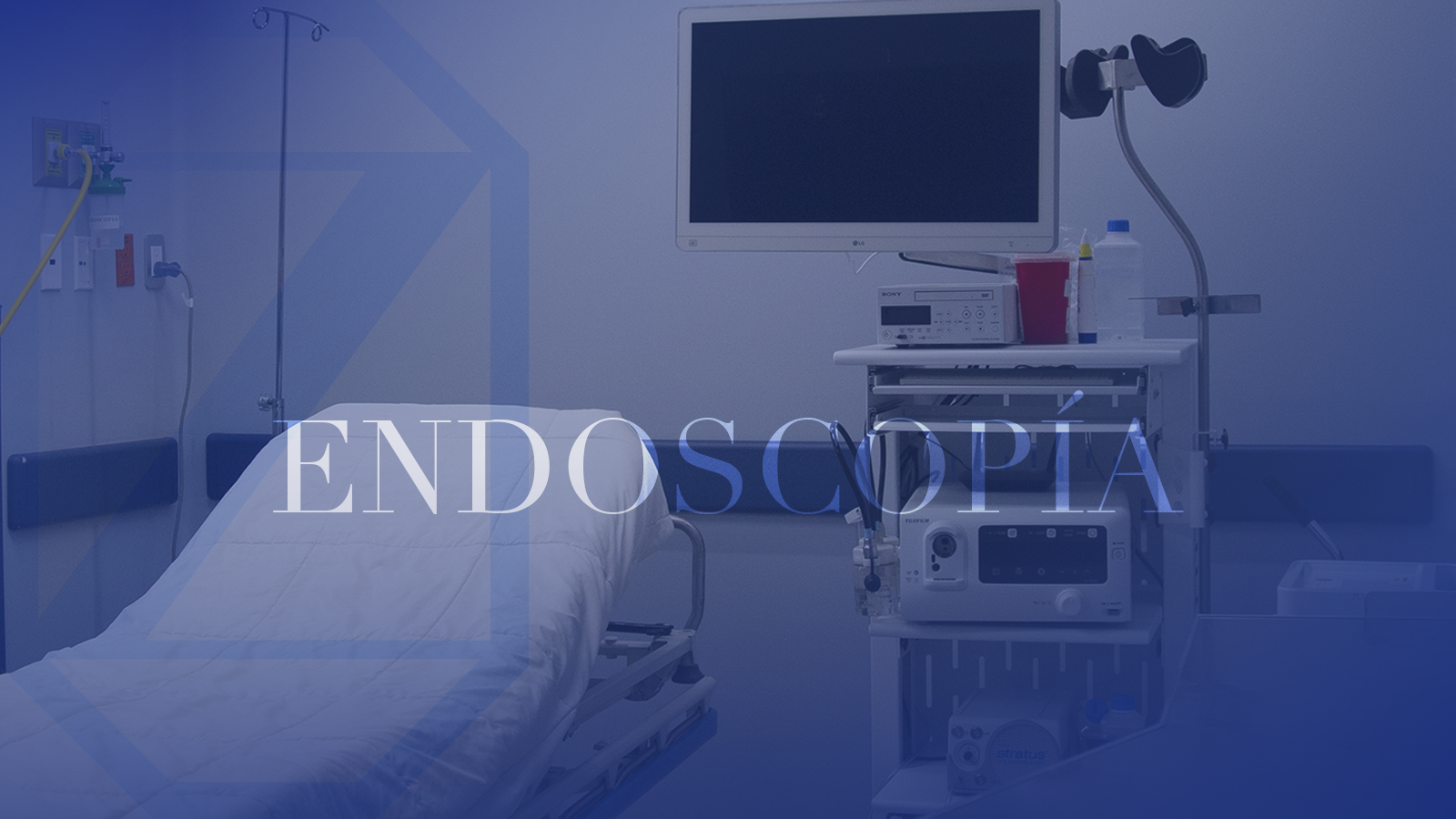 Endoscopía